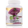 Golden Nature Pestrec mariánsky 80% silymarínu 100 tabliet 100 tablet