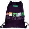 Astra Minecraft Time to Mine 507022001