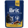 Brit Premium Cat kapsička with Chicken & Turkey 100g