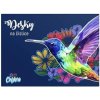 KARTON P+P Dosky na číslice Kolibrík