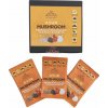 Altevita AYUR Mushroom Box 30x5g