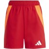 Adidas Tiro 24 Competition Jr shorts IQ4776 (199765) Sky Blue 164