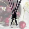 Smell of Life vonný difuzér Black Cherry 100 ml