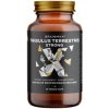 BrainMax Tribulus Terrestris Strong 60 kapsúl