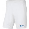 Šortky Nike Y NK DRY PARK III SHORT NB K bv6865-104 Veľkosť L (147-158 cm)