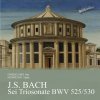 BACH: SEI TRIOSONATE BWV 525/530. DONI, RICCARDO, FIORE, FRANCESCO (CD)
