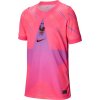 Nike | Dri-FIT France Stadium Goalkeeper 2026 Kids | rúžová| S(128-137cm)