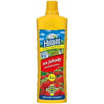 Forestina Jahody 500 ml