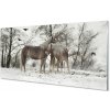 Nástenný panel Zimný lesné jednorožce 100x50 cm