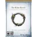 Hra na PC The Elder Scrolls Online: Tamriel Unlimited