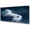 Obraz canvas Unicorn planét sky 100x50 cm
