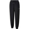 Puma SWxP Sweatpants TR dámské tepláky 533567-01