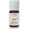 Hanus silica pomarančová 10 ml