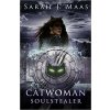 Catwoman: Soulstealer