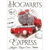 Carbotex Detský uterák Harry Potter Rokfortský Express 30 x 50 cm