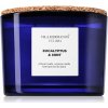 Vila Hermanos Apothecary Cobalt Blue Eucalyptus & Mint vonná sviečka 350 g