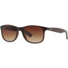 Ray-Ban RB4202 ANDY 607313