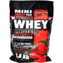 Vision Nutrition Whey Protein 1800 g