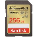 SanDisk SDXC UHS-I U3 256GB SDSDXWV-256G-GNCIN