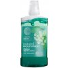 Natura Siberica so 7 Sibírskymi bylinami a Zinkom 520 ml