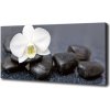 Foto obraz na plátne Orchidea 100x50 cm