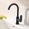 Hansgrohe 72536670