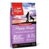 Orijen Dog Puppy Large 11,4kg NOVINKA