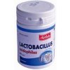Lactobacillus acidophilus 60 toboliek