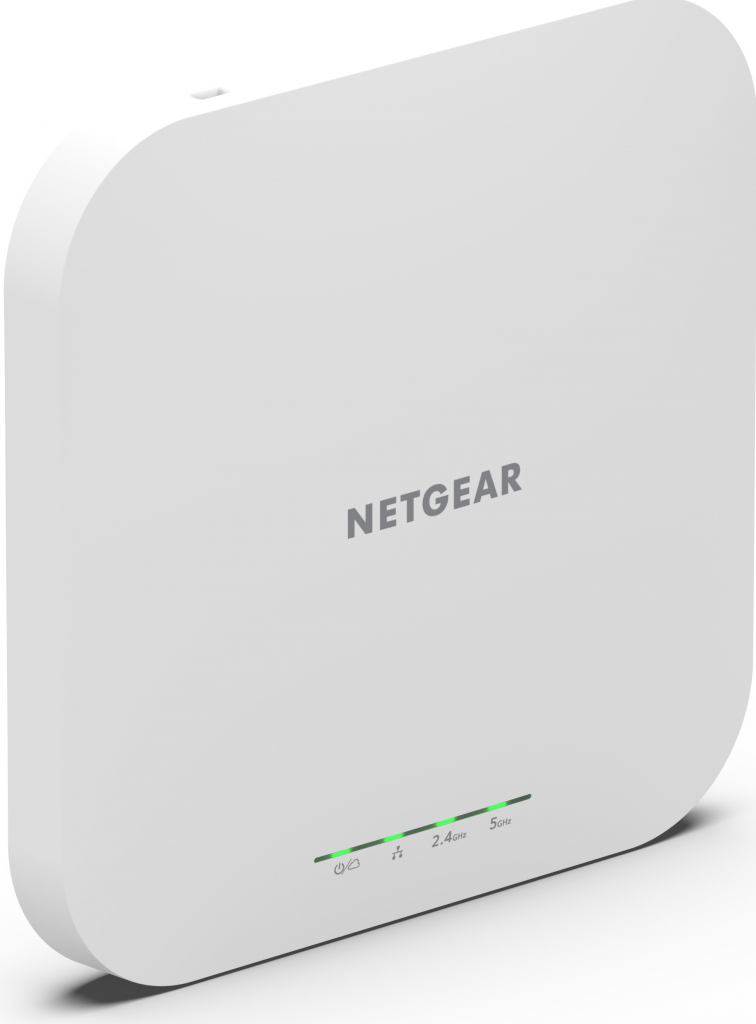 Netgear WAX610-100EUS