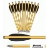 šipy pro pistolové kuše BOLT PL - 6,5´´ 10ks