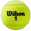 Wilson Roland Garros All Court 4 ks