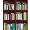 Donga Vinylová tapeta knižnica 53x1000 cm