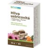 Plus Lekáren Hliva ustricovitá cps + Echinacea + rakytník + selén + zinok 60 ks