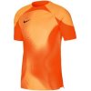 Nike Dri-FIT ADV Gardien 4 M DH7760-819 goalkeeper jersey (94048) Black S
