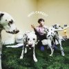 Rex Orange County: Who Cares? - Vinyl (LP)