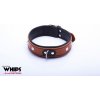 WHIPS Leather Collar 4 cm for Her Cognac, hnedý obojok s čiernym polstrovaním