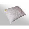 2G Vankúš Camel 70x90(900g)zip