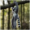 Plyšové hračky Animigos World of Nature - závesné Lemur