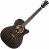 Washburn DFEACE-U Striped Ebony Elektroakustická gitara