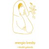 Energia kresby (Mikuláš Galanda)