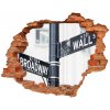 Fototapeta diera na stenu 3D Wall street sign 90x70 cm