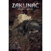 Zaklínač Blednoucí vzpomínky - Bartosz Sztybor, Amad Mir