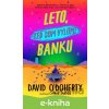 E-kniha Leto, keď som vylúpil banku - David O'Doherty