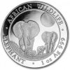 Bayerische Hauptmünzamt strieborná minca African Wildlife Elephant 2014 1 Oz
