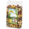 JR Farm krmivo ovocné pochúťky 0,2 kg škrečok, králik, myš, myšiak, potkan, morča, veverička