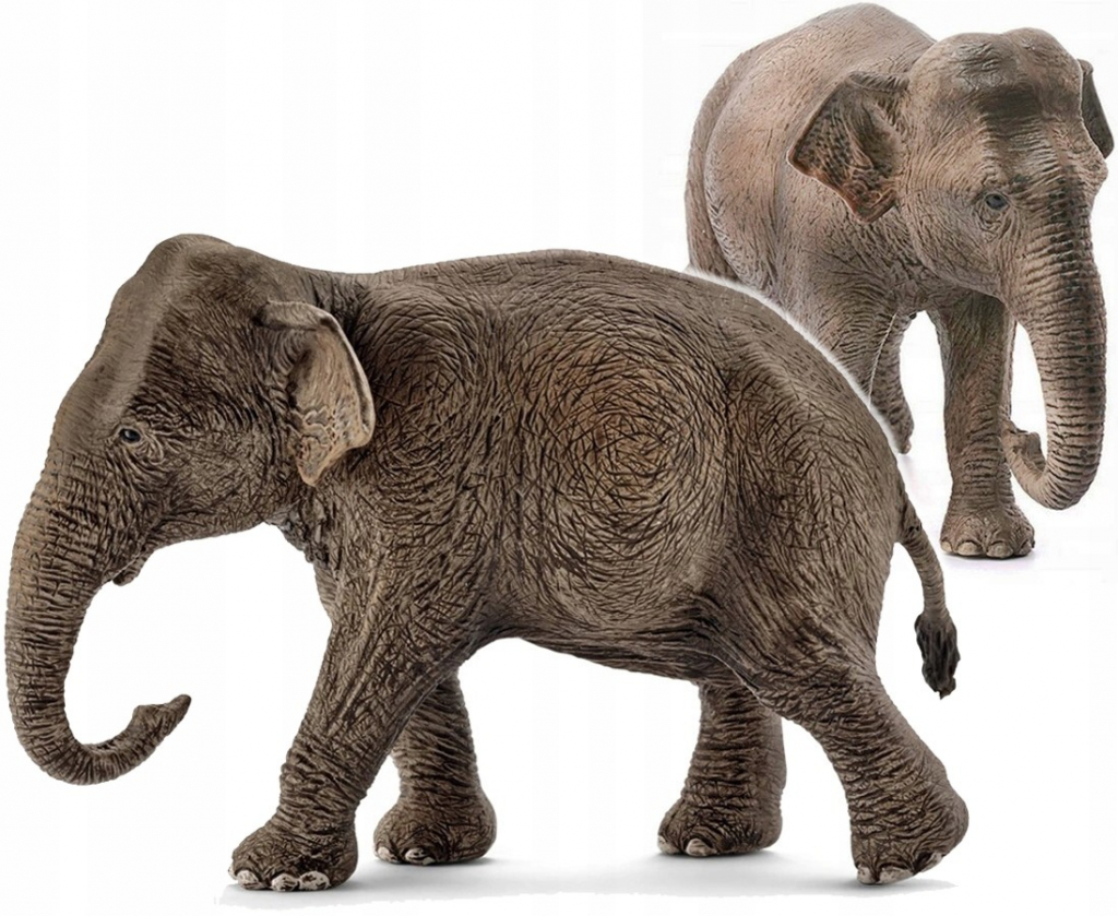 Schleich 14753 divoké zvieratko slon Ázijský samica