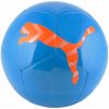 Puma ICON