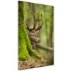 Vertikálny foto obraz sklo tvrdené Jeleň 50x100 cm