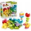 LEGO® DUPLO® 10479 Classic Farebný kreatívny box s kockami