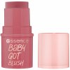 essence BABY GOT BLUSH lícenka v tyčinke 40 sweets & roses 5,5 g